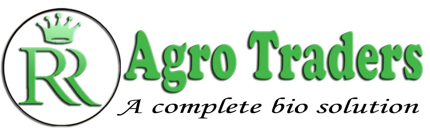 logo img